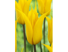 24,11���. ������� �� ����(��� 10 ��. ���������� ������ 5��.)���15.jpg