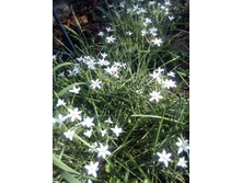 IMG 20160528 165835.jpg