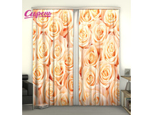 02776. "�������� ����"