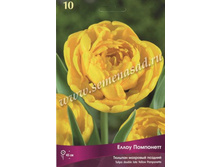 ������� ����� ���������.jpg