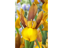 12,88���. ���� ����. ������ �����(���������� ������ ������ ���������� �� 10 ��.).jpg