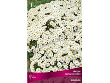 ����� ������������� ������.jpg