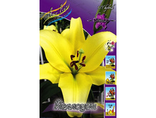 20,9���. ����� ��������(��� 7 ��. ���������� ������ 3 ��� 4 ��.).jpg