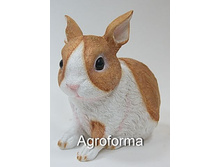 ���������� MG2569---050