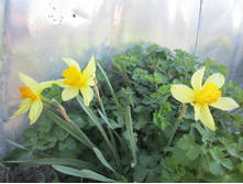 ����� 014.jpg