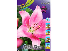 20,9���. ����� ���� ���(��� 7 ��. ���������� ������ 3 ��� 4 ��.).jpg