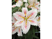 42,4���. ����� ������(�������� ���� �� 5 ��., ����������� ����� 1��.)���16.jpg