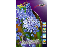 12,24���. ������ ����������(���������� ������ ������ ���������� �� 7 ��.).jpg