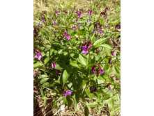 IMG 20160507 110640.jpg