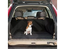 ��������� � ���������� 3.jpg