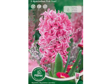 ������� ���� ����.jpg