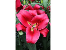 47,78���. ����� ���������(�������� ���� �� 5 ��., ����������� ����� 1��.).jpg