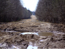 ���������� �����