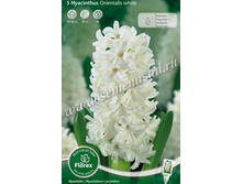 ������� ����.jpg