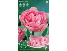 ������� �������� ������.jpg