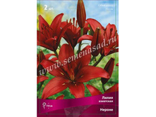 ����� ������.jpg