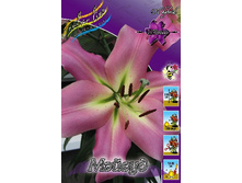 37,99���. ����� ������(��� 7 ��. ���������� ������ 3 ��� 4 ��.).jpg