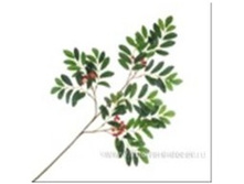 4606500580026 ����� ������������� ������ � ������� 1 976,35.jpg