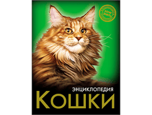 1448449043 16fd76ddd9115ef99832a7d1fb53395e.png