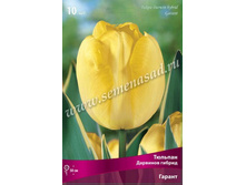 ������� ������.jpg