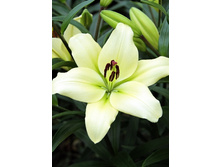 19,1���. ����� ������(��� 7 ��. ���������� ������ 3 ��� 4 ��.).jpg