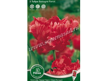 ������� ������ ������.jpg