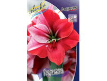 344,2���. ��������� �������(�������� ���� �� 1 ��., ����������� ����� 1��.).jpg