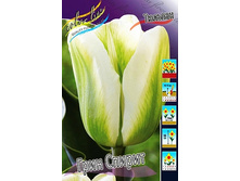 22,43���. ������� ���� ������(��� 10 ��. ���������� ������ 5��.).jpg