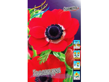 5,15���. ������� ���������(���������� ������ ������ ���������� �� 15 ��.).jpg