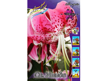 47,78���. ����� ��. �����(�������� ���� �� 5 ��., ����������� ����� 1��.).jpg