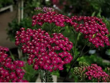 ������������� ������� ���� 90��� � ������ 1��.jpg