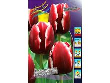 16,62���. ������� ������(��� 10 ��. ���������� ������ 5��.).jpg