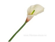 4606500609529 ������ ������������� ����� ��������, 70 �� 1 573,85.jpg