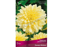 �������� ������������ ������ ������.jpg