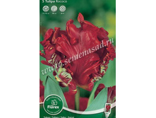 ������� ������.jpg