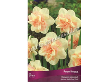 ������� ���� �����.jpg