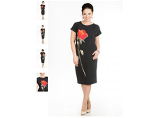 ������ 2781