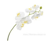 4606500567386 ������ ������������� ����������, 79c� 72 686,55.jpg