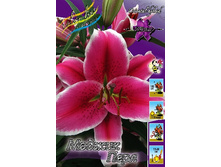 29���. ����� ������ ����(��� 7 ��. ���������� ������ 3 ��� 4 ��.).jpg