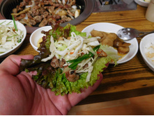 DSCN0585.JPG