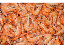 ����������� �������� ������-��������� � ������� 40-60.jpg