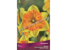 ������� ��������.jpg