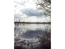 IMG 20160507 133947.jpg