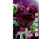 23,18���. ������� ��������� ����(��� 10 ��. ���������� ������ 5��.).jpg