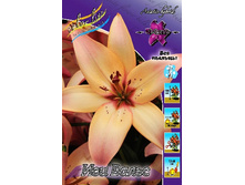 38,8���. ����� ��� �����(��� 5 ��. ���������� ������ 2 ��� 3 ��.).jpg