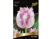 ������� ���� ����.jpg