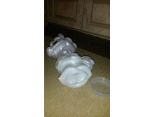 �������-�������, �������� ��� �������� ����������� �������)