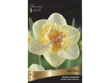 ������� ��� ����.jpg