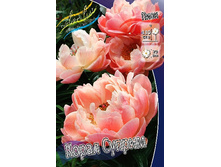 335,1���. ���� ����� ������(�������� ���� �� 1 ��., ����������� ����� 1��.).jpg