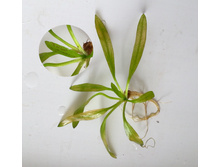 ���������� �����